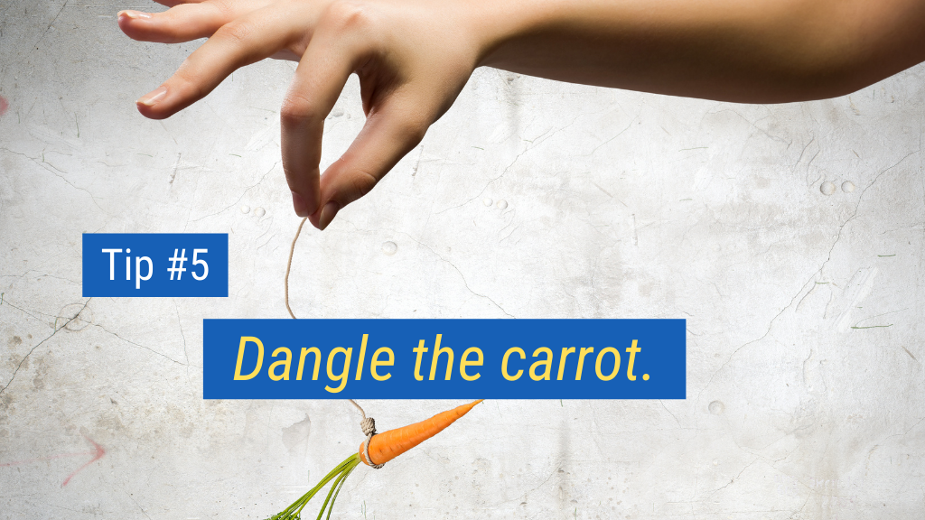 14. Dangle the carrot.