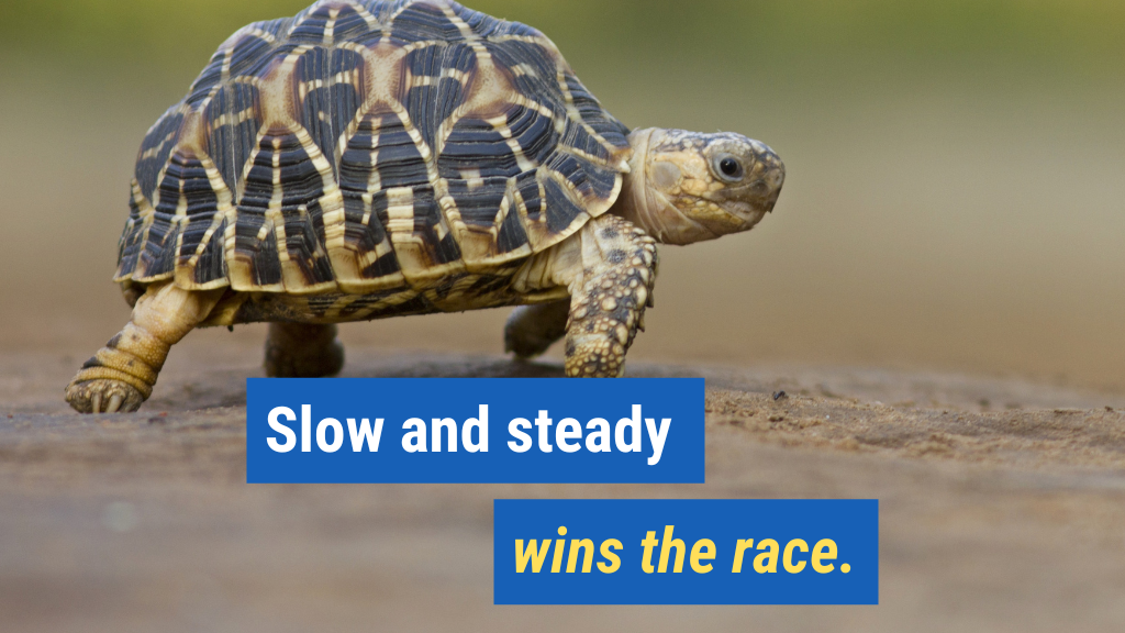 5. Slow and steady wins the race.