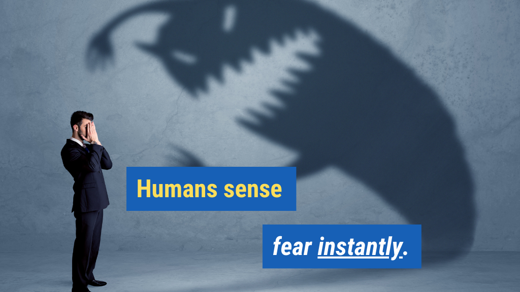 7. Humans sense fear instantly.